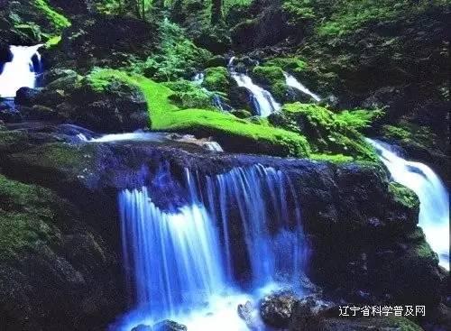 皮蛋豆腐教程游戏画面